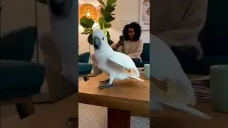 Танцуйте под ритм, и музыка мгновенно преобразится.