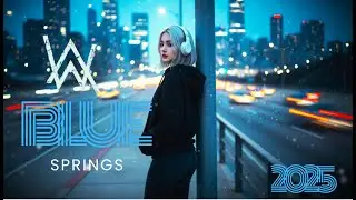 ALAN WALKER STYLE WITH BLUESPRINGS  || No Cover No Copyright || NEW FULL ALBUM 2025 2026