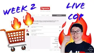 Supreme Week 2 Live Cop | S Logo Manual Checkout | Massive Cart