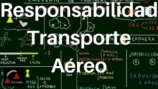 Responsabilidad por Transporte Aéreo Internacional