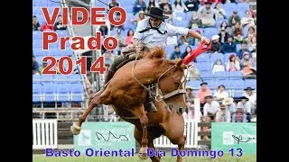 VIDEOS CRIOLLAS DEL PRADO A&Ntilde;O 2014