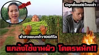 แกล้งแฟนใช้งานโคตรหนัก!! ปลุกตั้งแต่6โมงเช้า ทำสวนแบกถั่ว100กิโล