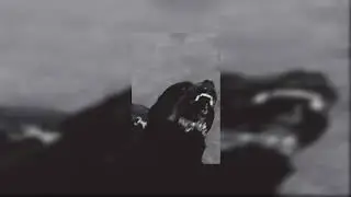 hlosiek - dygresja