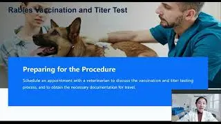 4 Steps to Move Your Pet Abroad from China | Pet Relocation Guide