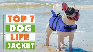 Best Dog Life Jackets of 2025 &ndash; The Ultimate Guide for Pet Safety