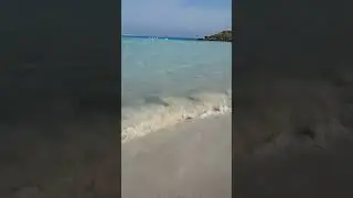 Nissi beach march Ayia Napa #shorts #nissibeach