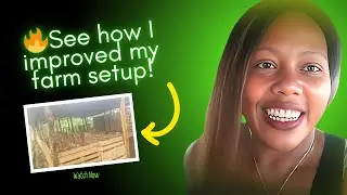 Building The PERFECT Sheep Pen In Just One Week!