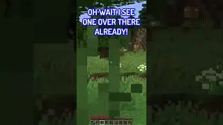 Minecraft, But Damage Gives A Random Effect&hellip; 😱 #minecraft