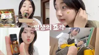 일상의죠각🧩 와랄라 지나가는 일상vlog (어린이날, 해독주스 레시피, 키토김밥, 나이트루틴)