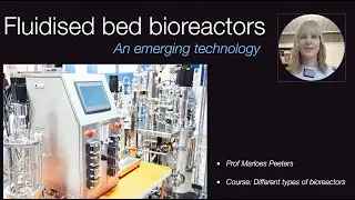 Fluidised bed bioreactors for biotechnology applications