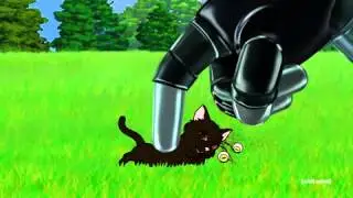 Meatwad kills cat