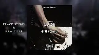 Guitar Loop Kit - Alternative Rock x Grunge (w/ STEMS & RAW Files) 