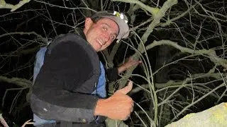 2014 FISHBIO Highlights of the Year