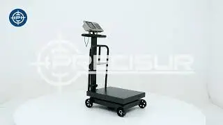 Balanza de Plataforma Patrick's TCS F2 de 200 Kilos 50 x 40 cm