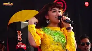 HANING (Tik Tok) Voc JIHAN AUDY - OM ADELLA Live Banyakan KEDIRI 2019