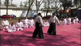 MIJIKAI KOTE GAESHI (短い小手返し) por/by Shihan Michael Moreno #aikido #aikikai