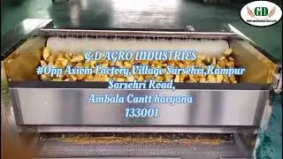 Ginger Washing and Peeling Machine | Hygienic Processing Solution by G.D. Agro Industries