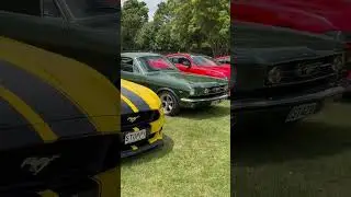 Mustang Sally!