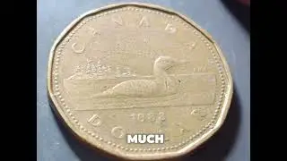 🇨🇦1988 Circulated Loonie #1988C $1 CAD #1988Loonie #CanadianDollar #CoinCollectors 💰