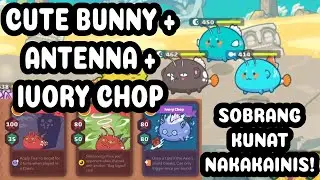 HOW TO BEAT TEAM ANTENNA+CUTE BUNNY+IVORY CHOMP? | SEASON 19 AXIE INFINITY