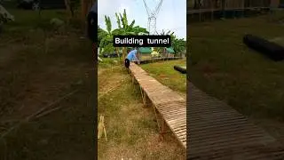 Building Beautiful Tunnel Home For Chickens  #chicken #agriculture #farming
