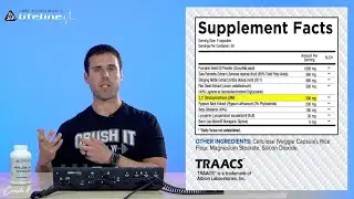 CORE LIFELINE PRODUCT REVIEW WITH DAVE RYNECKI: PROSTATE