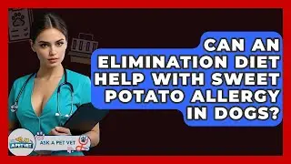 Can An Elimination Diet Help With Sweet Potato Allergy In Dogs? | Ask A Pet Vet