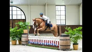 Lightning Jack -  Equitation