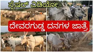 ದೇವರಗುಡ್ಡ ಬೃಹತ್ತ್ ದನಗಳ ಜಾತ್ರೆ | Devaragudda biggest Cattle Fair