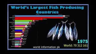 World&rsquo;s Largest Fish Producing Countries