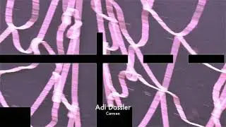 Adi Dassler - Carmen (Tour De Traum XXI)