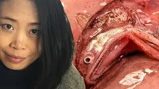 Chinese Wet Market Tour and Important Warning