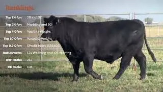 Thomas Gunsmoke Introduction