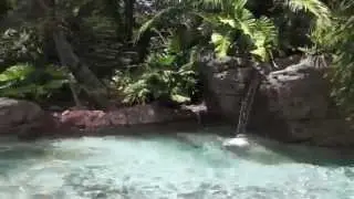 Freshwater Oasis at Discovery Cove in Orlando Florida