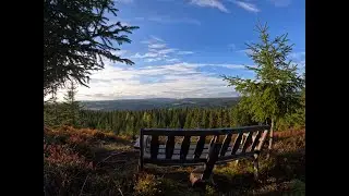 Jogging from Nybygda up to ÅsberghellaNorwegian Wilderness in Autumn.