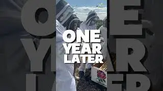 What's Changed in a Year?
