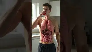 The Hidden Journey of Coca Cola Inside Your Body | 3D Digestive System Animation