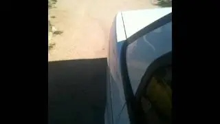 Picture 236392.MOV