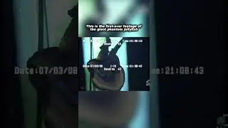 First-ever footage of the giant phantom jellyfish