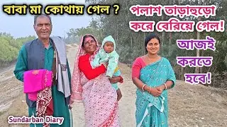 মা বাবা দুজনে বেরিয়ে পরলো! পলাশ কোথায় এবং কেন গেল দেখুন! Sundarban Diary 