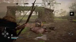 Assassin's Creed Valhalla: Legendary Animal - Oxenefordscire - Corpse Feeders - England -Walkthrough