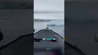 They helped this lost penguin find his home 🥺 #shorts