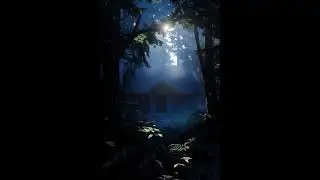 Rain 😴Warm Light Calm for Sleep #shorts #rain #rainsounds