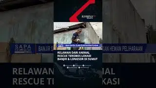 Relawan dari Animal Rescue Terobos Lokasi Banjir & Longsor di Sumut #shorts