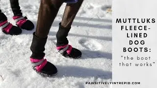 Muttluks Fleece Lined Dog Boots Review: Warm Boots for Cold Winter Hikes