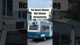 Was ein Projekt..! Aufgeben ist keine Option! #shorts #wohnmobil #restauration #selbstausbau