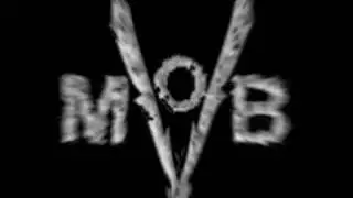 V-Mob Reflections