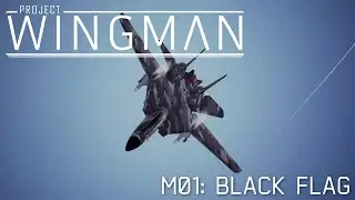 Project Wingman | Monarch POV | Mercenary Mission 01 | F14D