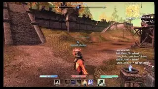 Vengeance Stam Sorc PvP #1 - Elder Scrolls Online