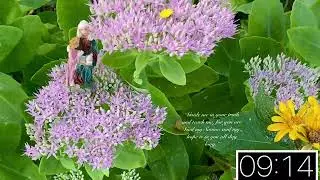 20 Minutes with St. Anne@CatholicCountdownTimers ￼